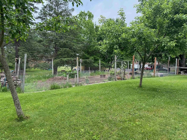 710 Jefferson St, Merrill, WI 54452 - view of green lawn