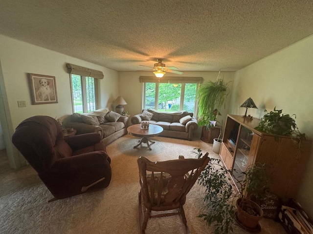 710 Jefferson St, Merrill, WI 54452 - carpeted living room with a ceiling fan and a textured ceiling
