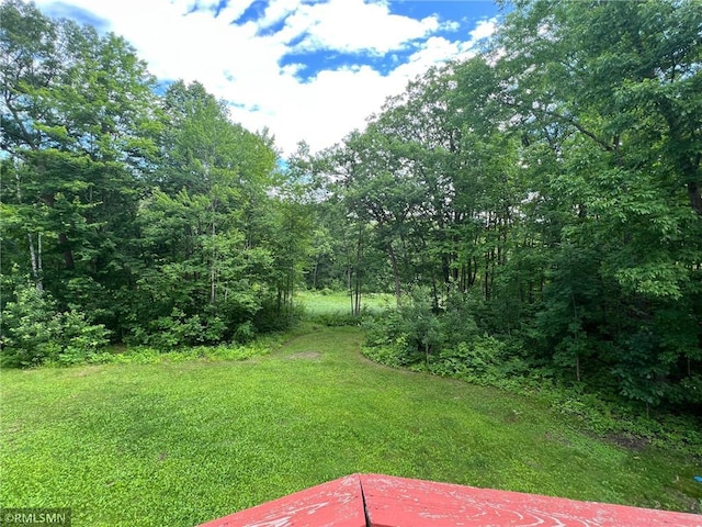 1283 230th Ave, Luck, WI 54853 - view of grassy yard with a forest view