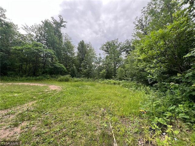 1283 230th Ave, Luck, WI 54853 - view of yard