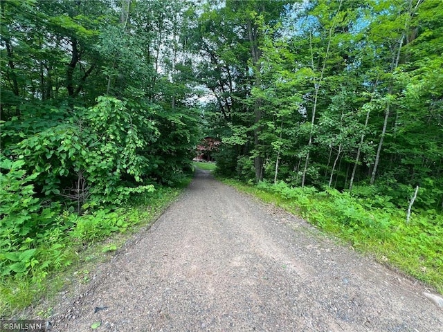 1283 230th Ave, Luck, WI 54853 - view of road featuring a forest view