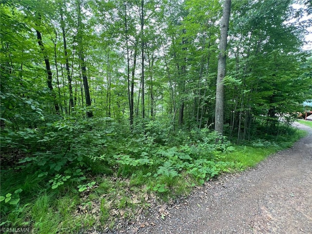1283 230th Ave, Luck, WI 54853 - view of local wilderness
