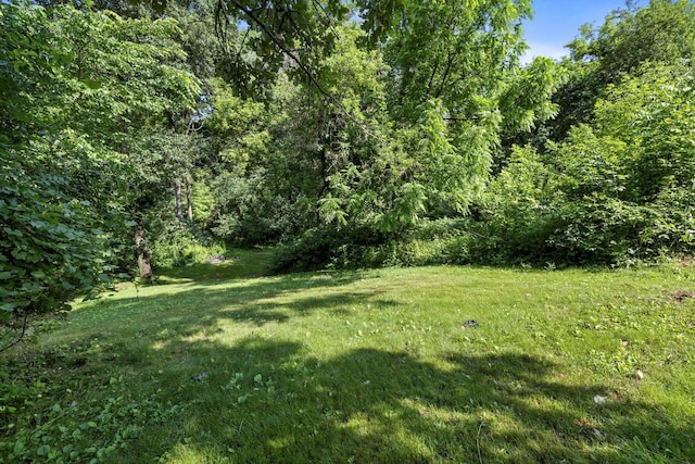 8020 Ridgeway Dr, Burlington, WI 53105 - view of green lawn featuring a view of trees