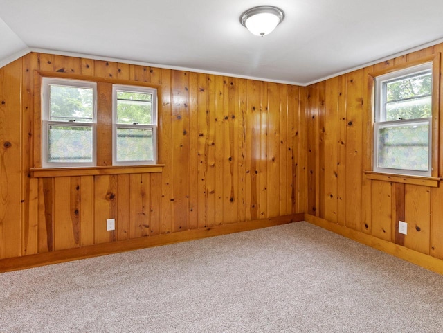 5751 N 38th St, Milwaukee, WI 53209 - carpeted empty room with plenty of natural light and wooden walls
