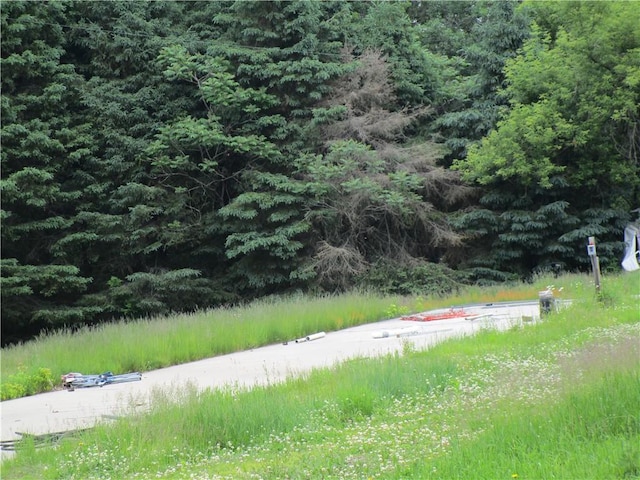 W7753 Old 14 Rd, Ladysmith, WI 54848 - view of yard with a forest view