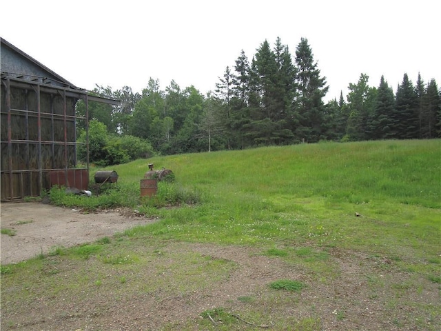 W7753 Old 14 Rd, Ladysmith, WI 54848 - view of yard