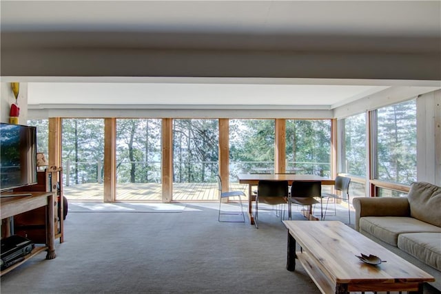 8674 Nor Wis Rd, Hayward, WI 54843 - view of carpeted living room