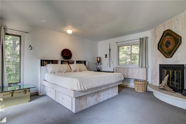 8674 Nor Wis Rd, Hayward, WI 54843 - carpeted bedroom featuring a glass covered fireplace