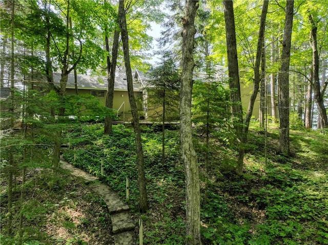 8674 Nor Wis Rd, Hayward, WI 54843 - view of woods