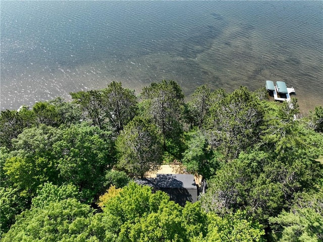 8674 Nor Wis Rd, Hayward, WI 54843 - view of subject property featuring a large body of water and a forest