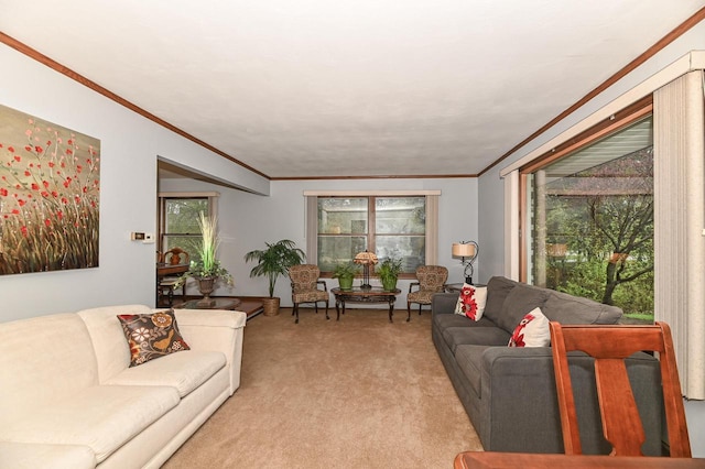 10500 W Good Hope Rd, Milwaukee, WI 53224 - living room with crown molding and light colored carpet