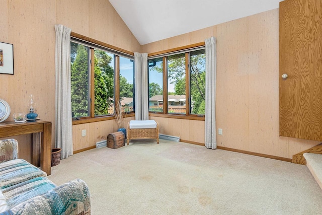 1334 W Cloverdale Dr, Appleton, WI 54914 - unfurnished bedroom featuring lofted ceiling and carpet