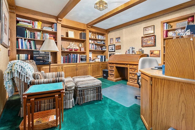 1334 W Cloverdale Dr, Appleton, WI 54914 - home office with beam ceiling and carpet floors