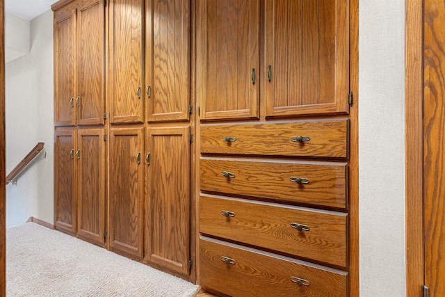 1334 W Cloverdale Dr, Appleton, WI 54914 - detailed view of carpet