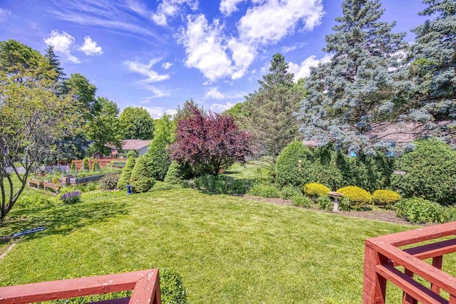 1334 W Cloverdale Dr, Appleton, WI 54914 - view of grassy yard