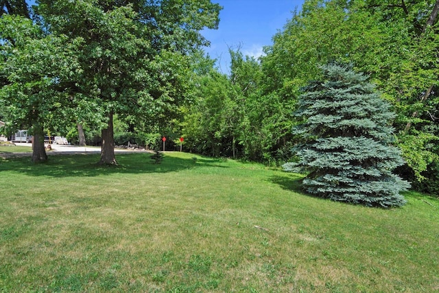 7705 241st Ave, Salem, WI 53168 - view of green lawn