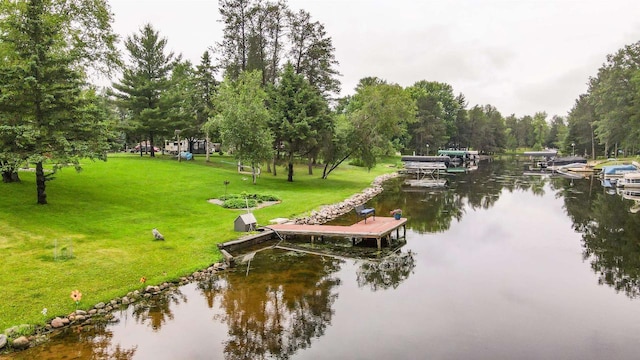 361 Penhurst Way, Nekoosa, WI 54457 - dock area featuring a water view and a yard