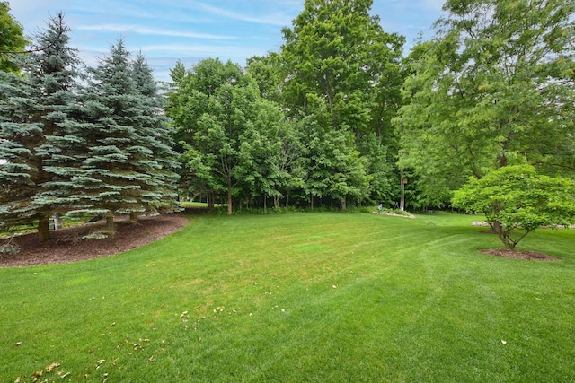 847 Chisholm Ln, Port Washington, WI 53074 - view of grassy yard