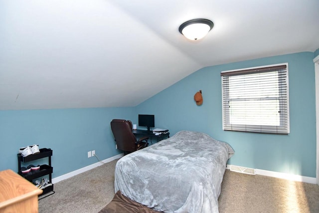 6401 237th Ave, Salem, WI 53168 - carpeted bedroom featuring lofted ceiling and baseboards