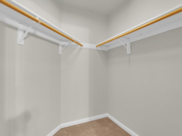 N8986 Swift Lake Dr, East Troy, WI 53120 - walk in closet with carpet flooring