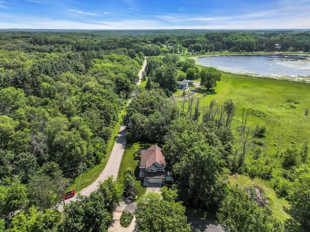 N8986 Swift Lake Dr, East Troy, WI 53120 - bird's eye view of a forest and a large body of water