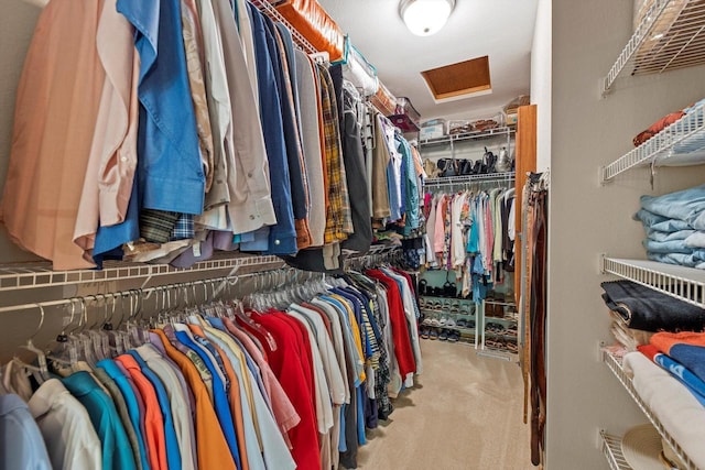 10724 S Christina Ct, Oak Creek, WI 53154 - walk in closet featuring attic access and carpet flooring