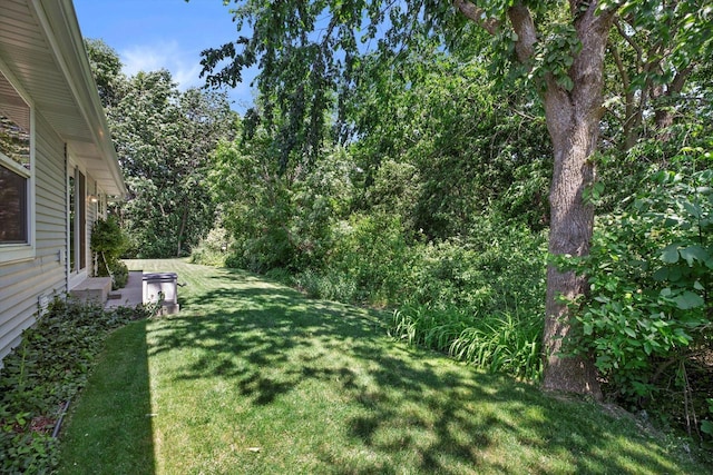 10724 S Christina Ct, Oak Creek, WI 53154 - view of grassy yard