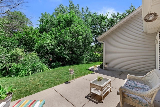 10724 S Christina Ct, Oak Creek, WI 53154 - view of patio / terrace featuring view of scattered trees