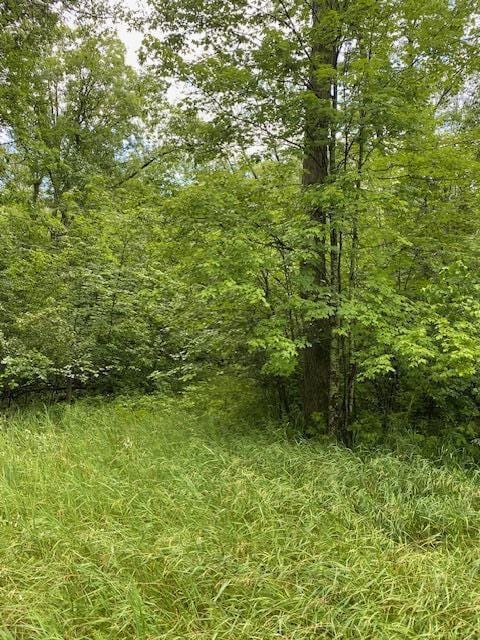 LT0 Netzel Ln, Crivitz, WI 54114