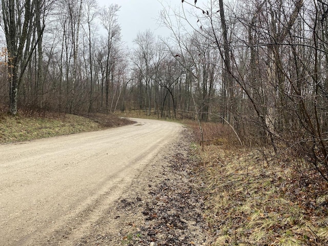 LT0 Netzel Ln, Crivitz, WI 54114