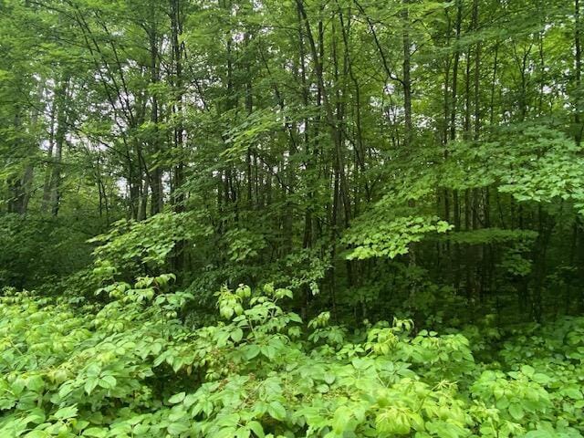 LT0 Netzel Ln, Crivitz, WI 54114