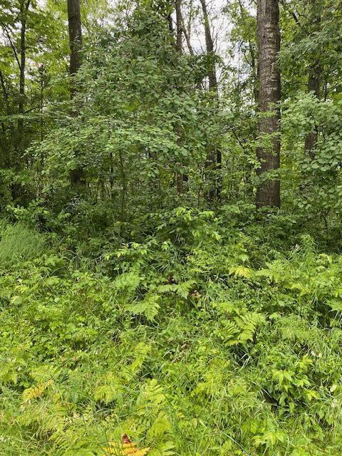 LT0 Netzel Ln, Crivitz, WI 54114
