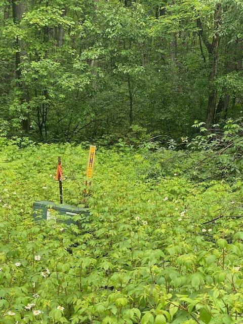 LT0 Netzel Ln, Crivitz, WI 54114