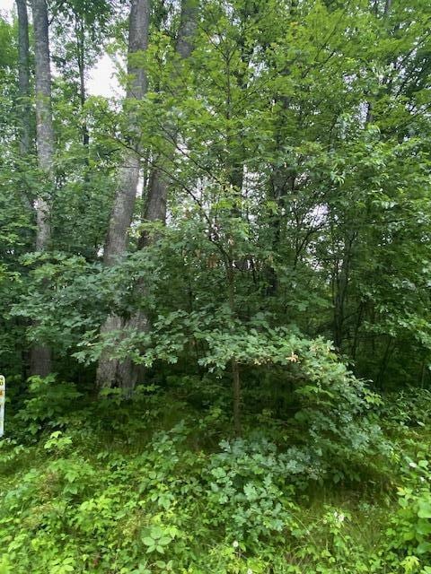 LT0 Netzel Ln, Crivitz, WI 54114