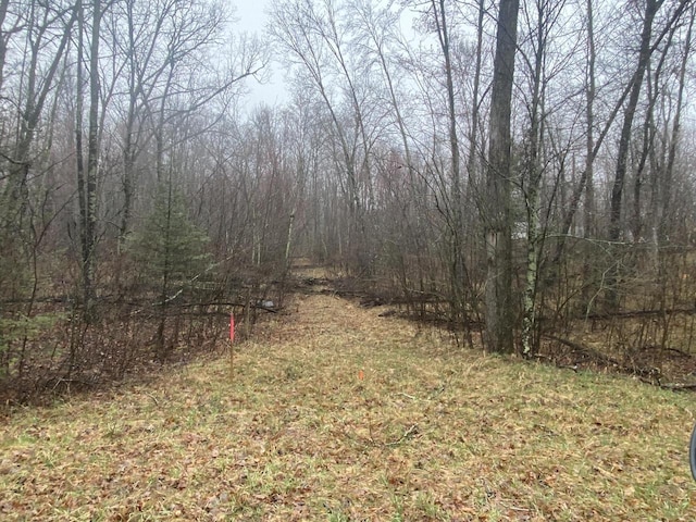 LT0 Netzel Ln, Crivitz, WI 54114