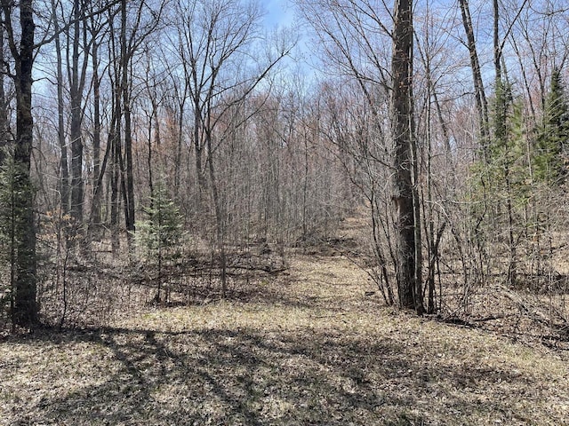 LT0 Netzel Ln, Crivitz, WI 54114