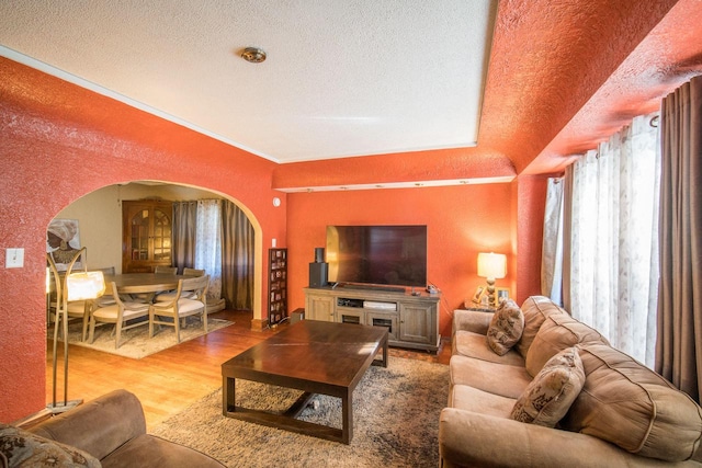 6222 W Locust St Unit 6224, Milwaukee, WI 53210 - living area featuring arched walkways, a textured wall, healthy amount of natural light, wood finished floors, and a textured ceiling
