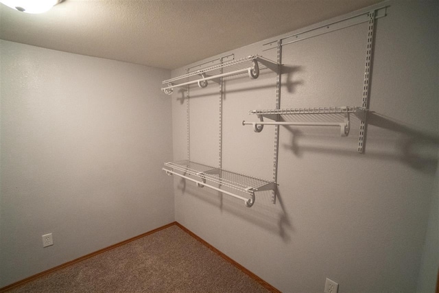 W5353 Amy Ave, Appleton, WI 54915 - spacious closet featuring carpet