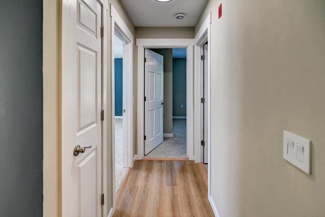 201 Kearney Way Unit 201, Waunakee, WI 53597 - corridor with light wood-style floors and baseboards