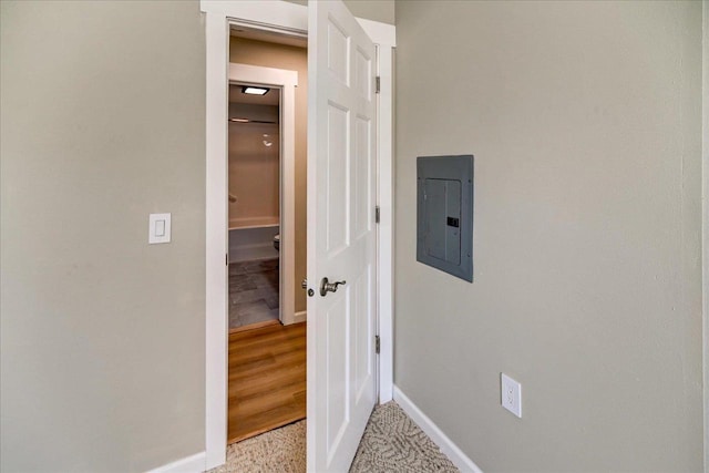 201 Kearney Way Unit 201, Waunakee, WI 53597 - hall featuring electric panel and baseboards
