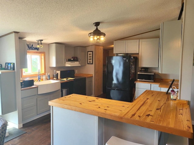 W6747 Legler Valley Rd, New Glarus, WI 53574 - kitchen featuring freestanding refrigerator, wood counters, stainless steel microwave, under cabinet range hood, and dark wood finished floors