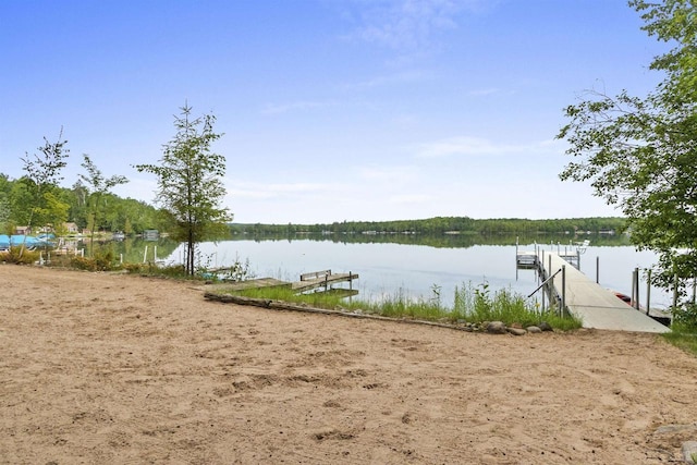 17705 Nicolet Rd, Townsend, WI 54175 - water view with a boat dock