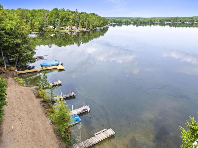 17705 Nicolet Rd, Townsend, WI 54175 - drone / aerial view of a nearby body of water