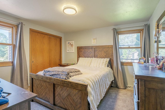 630 Brule Rd Unit 11, De Pere, WI 54115 - bedroom featuring multiple windows, light carpet, and a closet