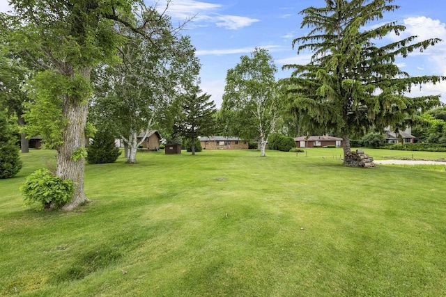 4350 S US Highway 45, Oshkosh, WI 54902 - view of green lawn