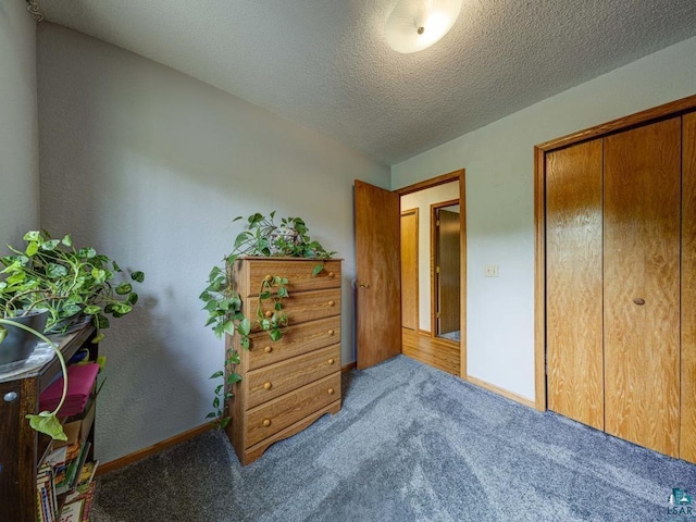 10811 S Patterson Rd, Solon Springs, WI 54873 - bedroom with carpet, a closet, and a textured ceiling