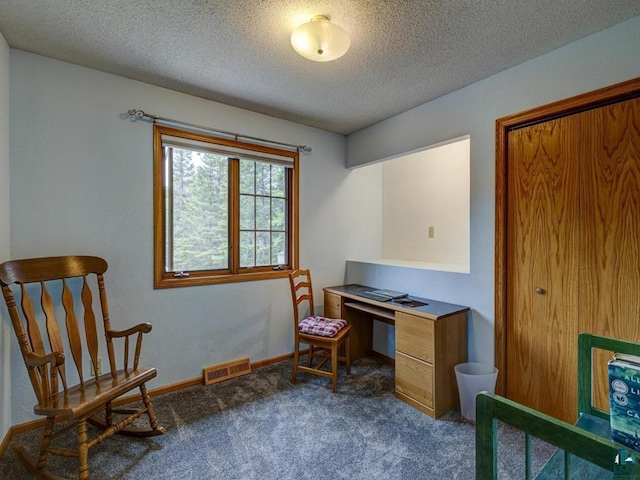 10811 S Patterson Rd, Solon Springs, WI 54873 - office area featuring dark carpet and a textured ceiling