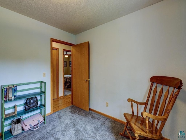 10811 S Patterson Rd, Solon Springs, WI 54873 - sitting room with carpet floors and a textured ceiling