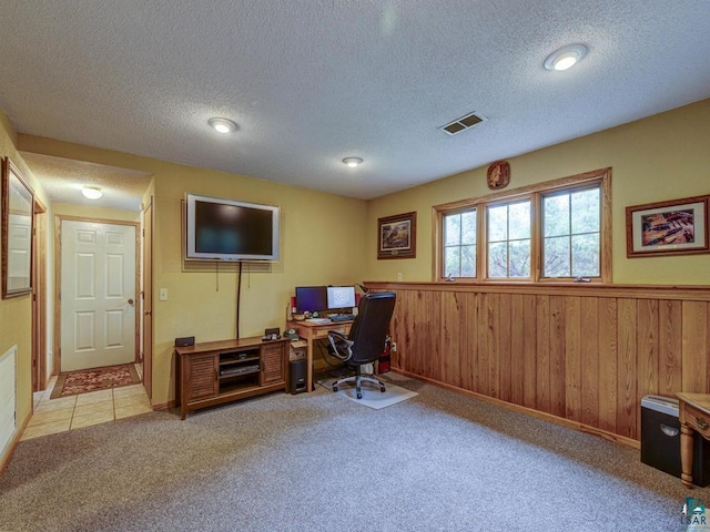 10811 S Patterson Rd, Solon Springs, WI 54873 - office space featuring a textured ceiling, light carpet, wainscoting, and wooden walls