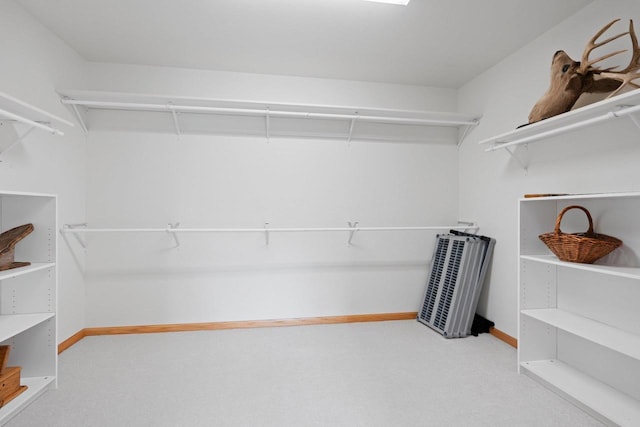 5330 Deer Trail Ln, Sheboygan, WI 53083 - spacious closet with carpet flooring